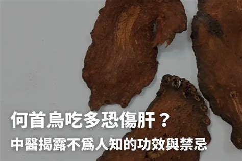 何首烏價格|何首烏秋冬進補怎麼吃？醫列功效禁忌＋何首烏藥膳做。